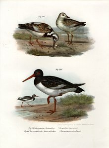 ラディターンストーン、1864年 作： German School